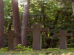 Man sieht drei Steinkreuze im Wald