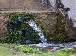 Man sieht eine Quelle, Wasser, welches aus einem Stein fließt