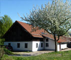 Haus mit Baum im Vordergrund