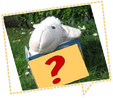 Plüsch-Schaf mit einem Buch mit Fragezeichen drauf